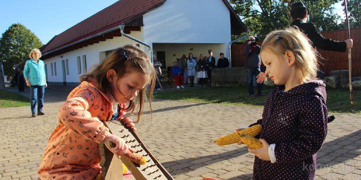 KUKORICAFOSZTÁS