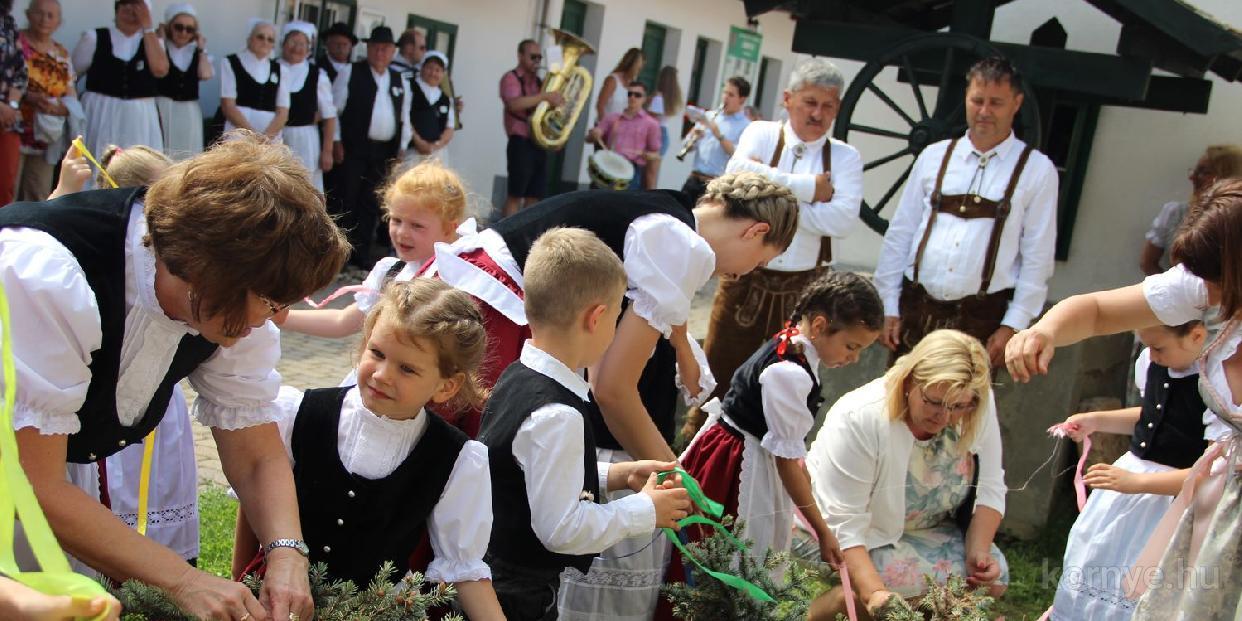Kidanolták, kitáncolták a májfát